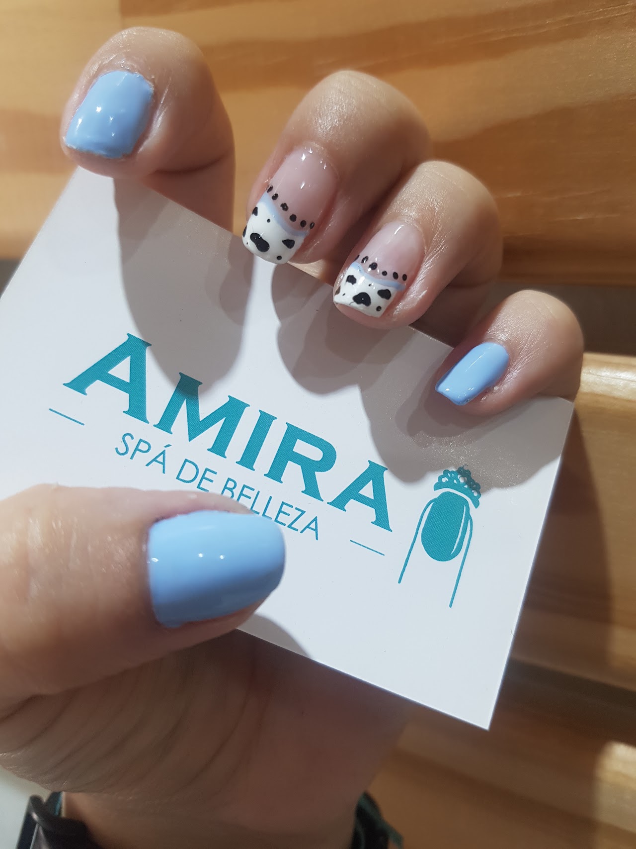 AMIRA SPA - trabajo realizado